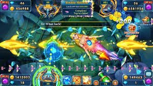Sảnh đặt cược thể thao bóng đá và cầu lông tại bxh liga Việt Nam